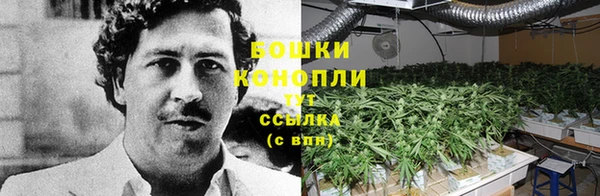 бошки Медвежьегорск