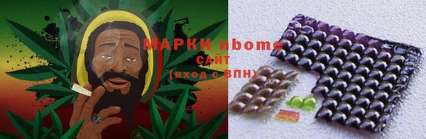 бошки Бронницы