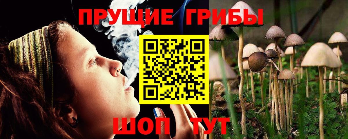 Майкоп  Псилоцибиновые грибы Psilocybe  Галлюциногенные грибы Psilocybine cubensis  купить   Вход с VPN 